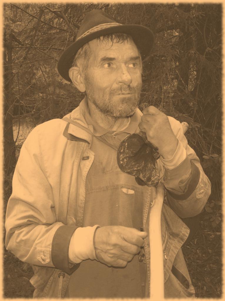 1433.jpg - az öreg pásztor egy elkóborolt tehen után ment.